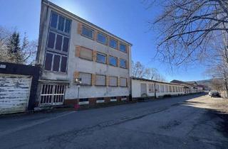 Gewerbeimmobilie kaufen in 36355 Grebenhain, Sanierungsbedürftiges Büro- und Wohngebäude mit Lagerflächen und großem Potenzial in Grebenhain