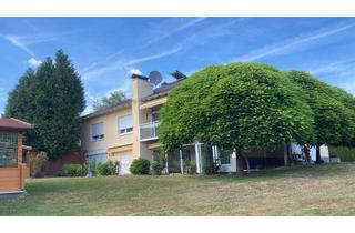 Wohnung mieten in 65620 Waldbrunn, Helle und neu renovierte 2-Zimmer-EG-Wohnung mit (neuer) EBK, Wi-Ga und Terrasse