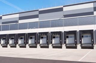 Gewerbeimmobilie mieten in 71665 Vaihingen an der Enz, Logistikhalle mit vielen Rampentoren an der B10