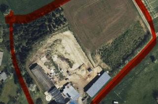 Mehrfamilienhaus kaufen in 54636 Rittersdorf, Rittersdorf - Hof zu verkaufen mit 4 Wohneinheiten 1,7 Hektar Land Halle Stall