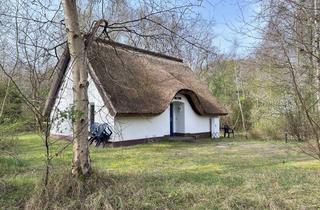 Haus kaufen in In Den Dünen 122, 18565 Insel Hiddensee, Ihr Ferienhaus auf Hiddensee