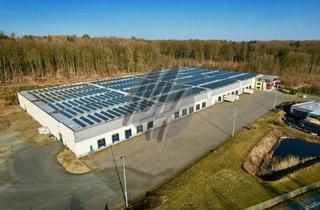 Gewerbeimmobilie mieten in 56235 Ransbach-Baumbach, SCHNELL VERFÜGBAR ✓ RAMPE + EBEN ✓ Lagerflächen (10.000 m²) zu vermieten