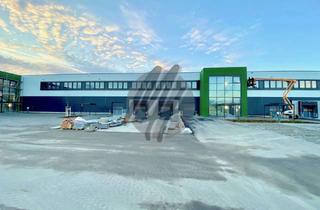 Büro zu mieten in 49479 Ibbenbüren, NEUBAU / ERSTBEZUG ✓ RAMPE + EBEN ✓ Lager-/Logistik (18.000 m²) & Büro-/Sozial (5.000 m²)