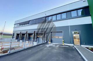 Büro zu mieten in 49479 Ibbenbüren, NEUBAU / ERSTBEZUG ✓ RAMPE + EBEN ✓ Lager-/Logistik (8.000 m²) & Büro (650 m²)