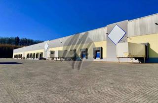 Gewerbeimmobilie mieten in 56203 Höhr-Grenzhausen, SCHNELL VERFÜGBAR ✓ RAMPE + EBEN ✓ Lagerflächen (5.000 m²) zu vermieten