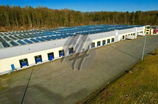Gewerbeimmobilie mieten in 56203 Höhr-Grenzhausen, SCHNELL VERFÜGBAR ✓ RAMPE + EBEN ✓ Lagerflächen (10.000 m²) zu vermieten