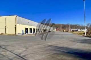 Gewerbeimmobilie mieten in 56410 Montabaur, SCHNELL VERFÜGBAR ✓ RAMPE + EBEN ✓ Lagerflächen (5.000 m²) zu vermieten