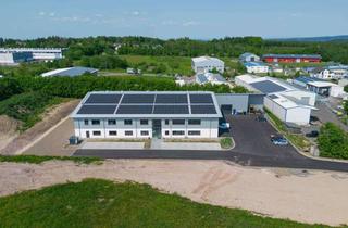 Gewerbeimmobilie kaufen in 53947 Nettersheim, Neuwertige Werkhalle mit Büroräumen in Zingsheim