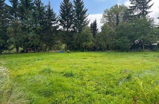 Grundstück zu kaufen in 09484 Oberwiesenthal, Schönes Baugrundstück in Oberwiesenthal!