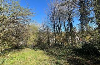 Grundstück zu kaufen in 55569 Nußbaum, Großes, voll erschlossenes Baugrundstück in Nußbaum/Bad Sobernheim, zu verkaufen!