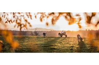 Grundstück zu kaufen in 83607 Holzkirchen, ZWISCHEN BAUERNHOF & WIESEN - BAUGRUND FÜR EIN EINFAMILIENHAUS IN HOLZKIRCHEN FÖCHING