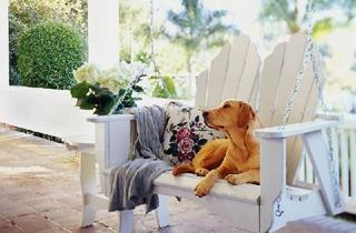 Grundstück zu kaufen in 56242 Selters, Baugrundstück in Selters!