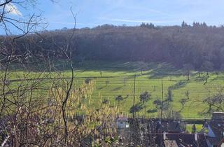 Grundstück zu kaufen in Möndenweg 15, 79594 Inzlingen, Abrissgrundstück mit herrlichem unverbaubarem Blick und eigener Wasserquelle