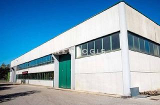 Büro zu mieten in 82362 Weilheim, Weilheim, ca. 900m² Hallenfläche zuzüglich Büro zu vermieten