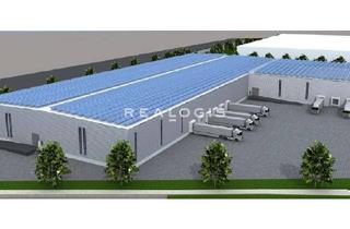 Gewerbeimmobilie mieten in 35428 Langgöns, 18.000 qm Neubau - Anbindung an die A5