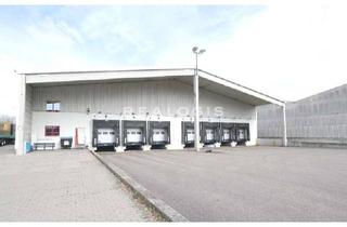 Gewerbeimmobilie mieten in 56235 Ransbach-Baumbach, Lager- / Logistikfläche - Anbindung an die A3