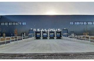 Gewerbeimmobilie mieten in 65428 Rüsselsheim, Lager- / Logistik- / Produktionsfläche - Anbindung an die A60