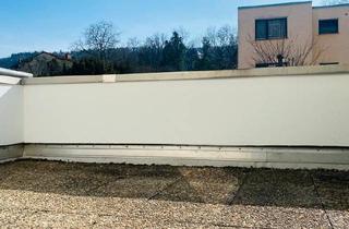 Wohnung kaufen in 55411 Bingen, Bingen am Rhein - Wunderschönes, saniertes ein Zimmer Apartment mit großem Balkon