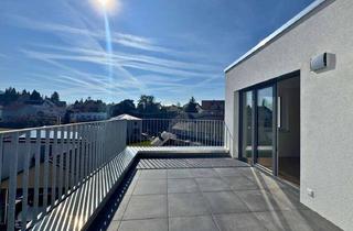 Penthouse kaufen in 77799 Ortenberg, Helle Penthouse-Wohnung mit freiem Blick auf die Reben! +Neubau Erstbezug!+