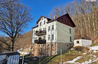 Wohnung mieten in 09623 Rechenberg-Bienenmühle, Geräumige 2-Raum-Dachgeschosswohnung mit Stellplatz