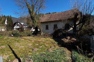 Haus kaufen in 79686 Hasel, Alte Mühle zum Umbau als Wohnhaus mit Charakter