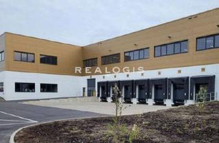 Gewerbeimmobilie mieten in 89537 Giengen, Giengen an der Brenz, ca. 9.600 m² Neubau- Logistikfläche zu vermieten