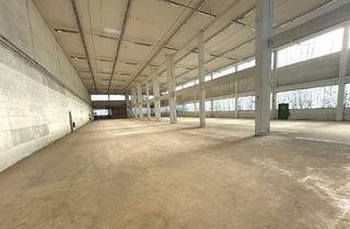 Gewerbeimmobilie kaufen in 95032 Innenstadt, Hochregal Lagerhalle mit großem Grundstück
