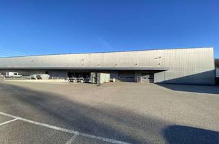 Büro zu mieten in Körschtalstraße 101, 73770 Denkendorf, Moderne Lagerhalle mit Werkstatt-, Büro- und Sozialflächen