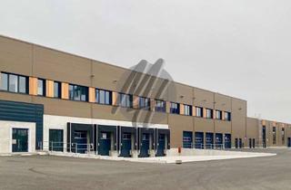 Büro zu mieten in 65474 Bischofsheim, RAMPE + EBEN ✓ Lager-/Logistik (3.500 m²) & Büro-/Sozial (750 m²)