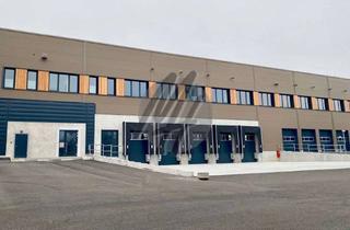 Büro zu mieten in 65462 Ginsheim-Gustavsburg, RAMPE + EBEN ✓ Lager-/Logistik (3.500 m²) & Büro-/Sozial (750 m²)