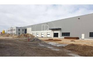 Gewerbeimmobilie mieten in 63674 Altenstadt, "BAUMÜLLER AG" - ca. 15.000 qm - Logistik-Neubau - 10m UKB - WGKIII-fähig! - Bezug ab Q1 2026