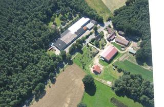 Gewerbeimmobilie kaufen in 29451 Dannenberg, Lagerhalle oder Produktionshalle direkt an der Bundesstraße