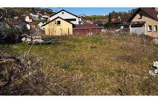 Grundstück zu kaufen in 69242 Mühlhausen, Ihr Platz für den Wohntraum!