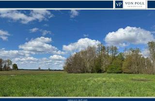 Grundstück zu kaufen in 29394 Lüder, Schönes großes Grundstück mit zwei Baufenstern auf dem Land