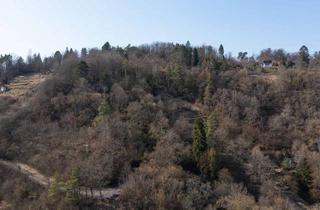 Grundstück zu kaufen in 72070 Tübingen, Rappenberg - ca. 4.000 m² Grundstück (Land/Forstwirtschaft)