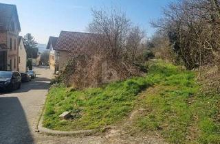 Grundstück zu kaufen in 55232 Alzey, Alzey - IHR TRAUM VOM HAUS, RUHIG AM FELDRAND