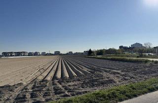 Grundstück zu kaufen in 67117 Limburgerhof, 2370 m² Bauerwartungsland in zentraler Lage Limburgerhofs!