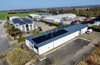 Geschäftslokal mieten in 27299 Langwedel, Moderne Lager- oder Produktionshalle mit neuer PV-Anlage