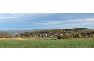 Villa kaufen in 61273 Wehrheim, Naturnahe Stadt-Villa – neuwertig und energieeffizient