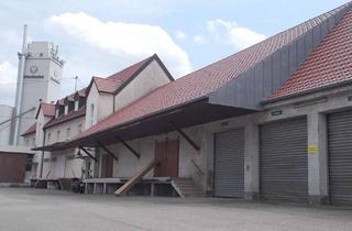Gewerbeimmobilie mieten in Dinkelscherbener Str., 86514 Ustersbach, Lagerflächen mit Rampe direkt an der B 300