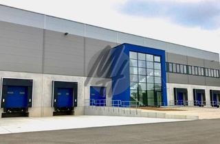 Büro zu mieten in 65474 Bischofsheim, RAMPE + EBEN ✓ Lager-/Logistik (7.000 m²) & Büro-/Sozial (1.000 m²)