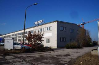 Gewerbeimmobilie kaufen in 19061 Wüstmark, Gewerbe-/ Industriehallen mit befestigtem Grundstück in der Landeshauptstadt Schwerin
