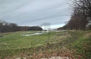 Grundstück zu kaufen in 23968 Zierow, Zierow - EINZIGARTIG UND NATURBELASSEN MIT BAUGRUNDSTÜCK