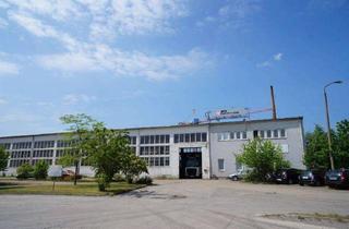 Gewerbeimmobilie kaufen in 19061 Wüstmark, Gewerbe-/ Industriegrundstück mit über 6.000 qm Hallenfläche in der Landeshauptstadt Schwerin