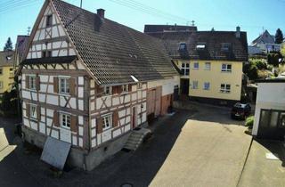 Haus kaufen in 77749 Hohberg, Leben. Arbeiten. Vermieten. Vielseitiges Anwesen mit Fachwerk, Ökonomie & Zweifamilienhaus