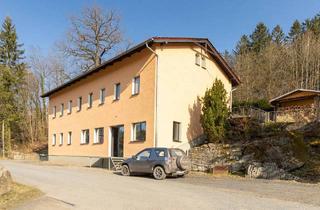 Mehrfamilienhaus kaufen in 01816 Bad Gottleuba, Bad Gottleuba-Berggießhübel - Kleines Mehrfamilienhaus mit Gewerbeeinheit idyllisch im Grünen