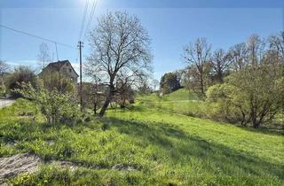 Haus kaufen in 88633 Heiligenberg, Ehemaliges Mühlenanwesen mit mächtig viel Platz