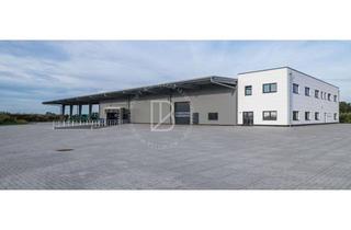 Büro zu mieten in 64521 Groß-Gerau, "BAUMÜLLER AG" - ca. 1.400 qm Hallenfläche - Büro ausreichend vorhanden - modern - direkt an der A67