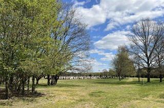 Haus kaufen in 29494 Trebel, “Landleben deluxe im Wendland“- Historische Hofstelle an der Nemitzer Heide”
