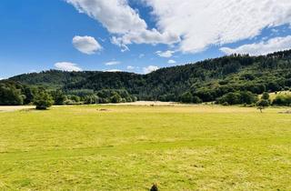 Wohnung mieten in In Der Au 18, 53547 Hausen, Schöne 3-Zimmer- Wohnung mit EBK in Hausen (Wied)